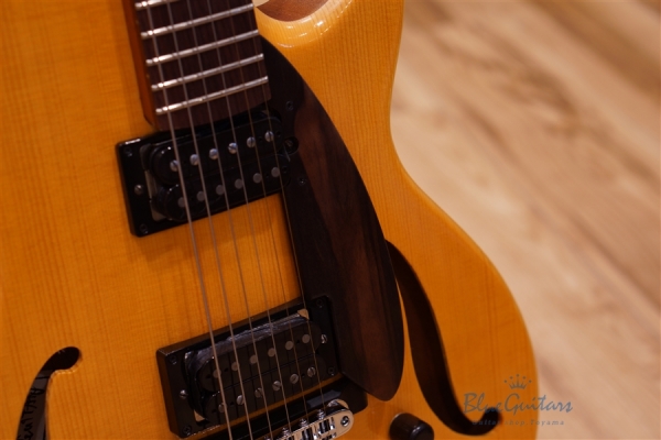Arcus Semi-hollow Jazz - Amber