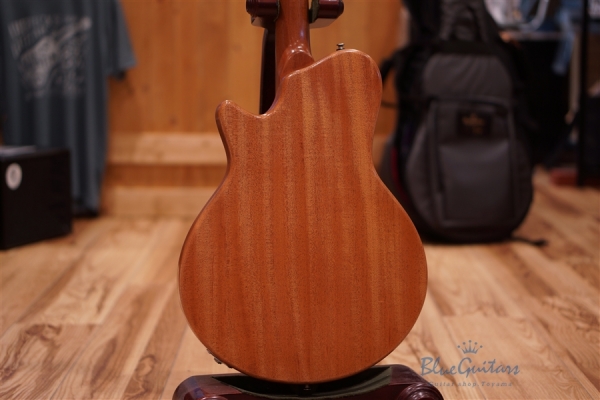 Arcus Semi-hollow Jazz - Amber