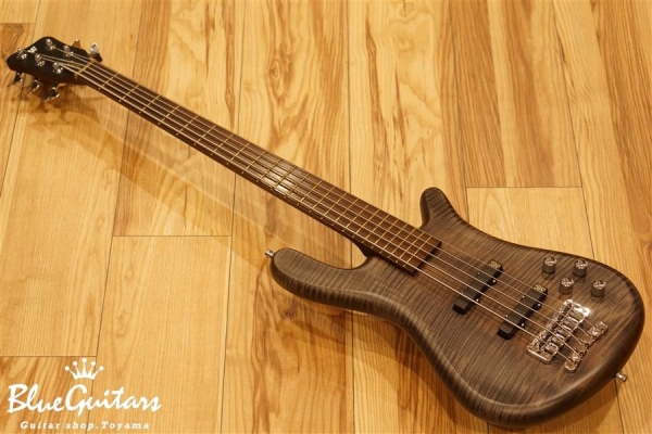 Streamer LX5 W OFC - Nirvana Black
