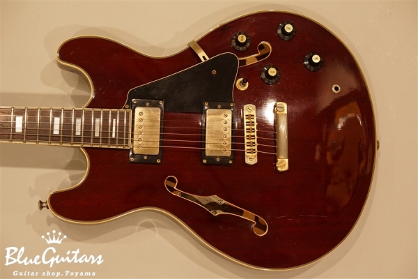 Aria Pro II TA-62 - Wine Red | Blue Guitars Online Store