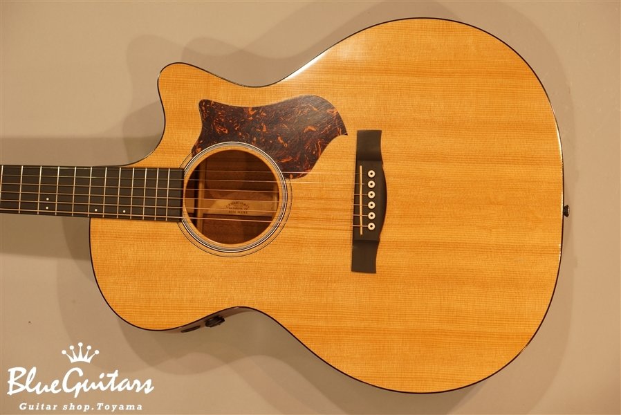 Martin GPCPA4 | Blue Guitars Online Store
