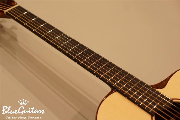 Carrera SJ | German Spruce/Honduran Rosewood