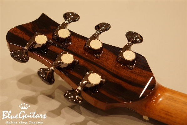 Carrera SJ | German Spruce/Honduran Rosewood