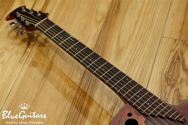 Celebrity Elite Limited Edition CE44 - Reverse Red Burst