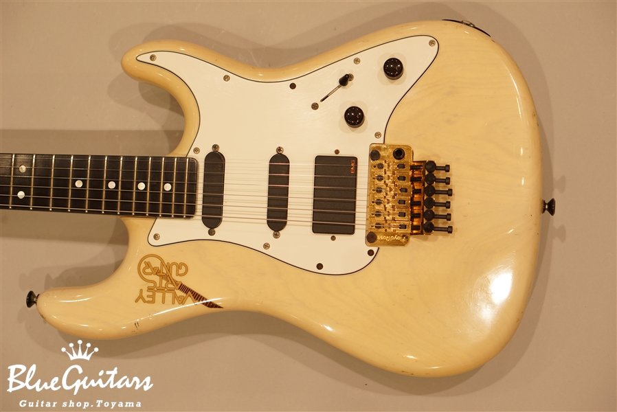 Valley Arts M Series SSH Ebony | Blue Guitars Online Store