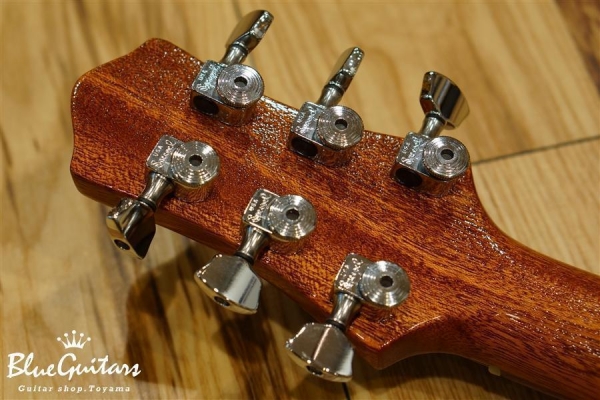 Cirrus Semi-hollow - Burst