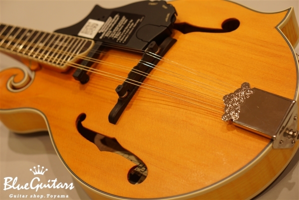 MM-50E Professional - Vintage Natural