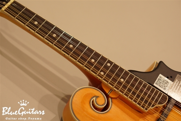 MM-50E Professional - Vintage Natural