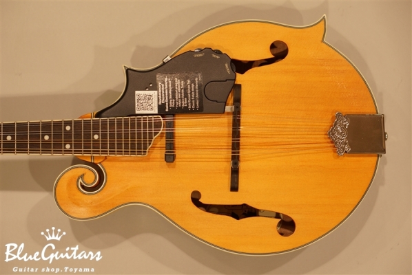 MM-50E Professional - Vintage Natural