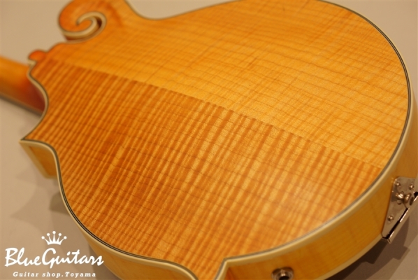 MM-50E Professional - Vintage Natural
