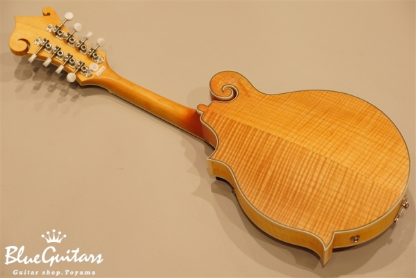 MM-50E Professional - Vintage Natural