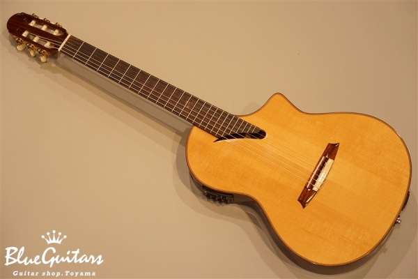 MSCC-14 RS
