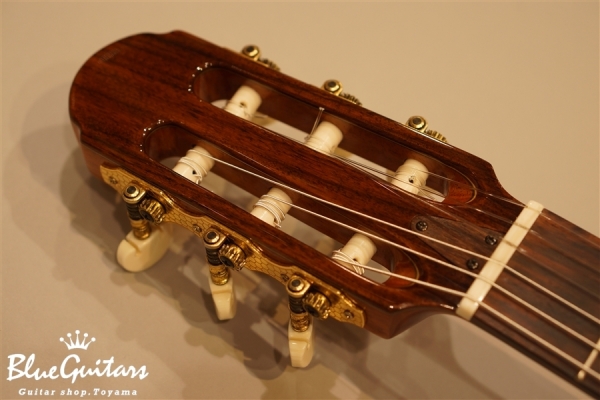 MSCC-14 RS
