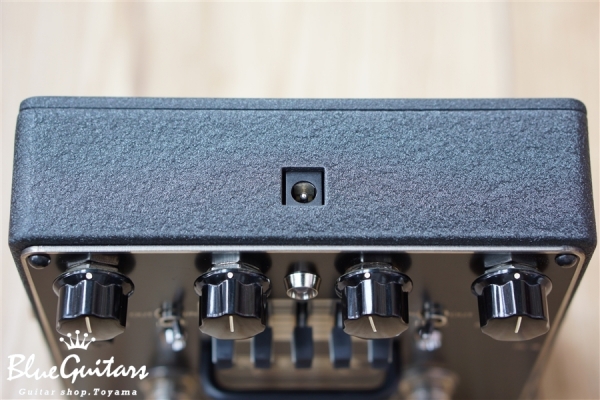 Mesa/Boogie THROTTLE BOX EQ | Blue Guitars Online Store