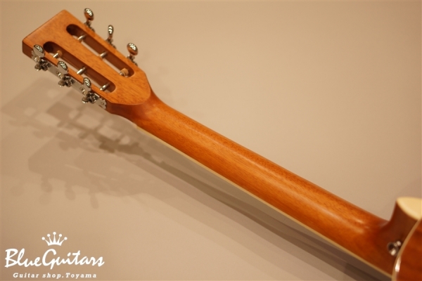 STLPEAK14 / Gloss Finish (Stella Parlor Ele/Acoustic KOA)