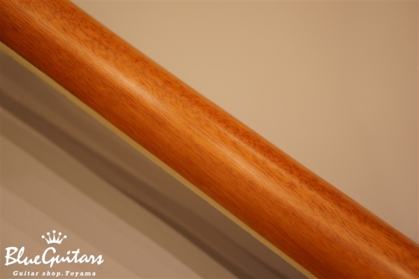 STLPEAK14 / Gloss Finish (Stella Parlor Ele/Acoustic KOA)