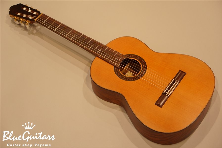 茶位ギター工房 No.6 | Blue Guitars Online Store