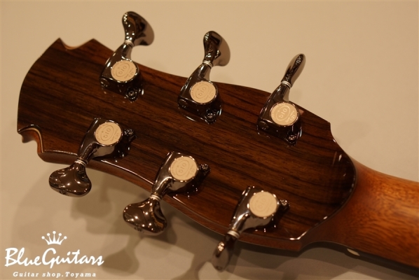 OM-cw Fanned Fret - Wenge / Side Port / OGAWA Inlay Craft