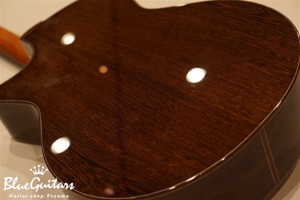 OM-cw Fanned Fret - Wenge / Side Port / OGAWA Inlay Craft