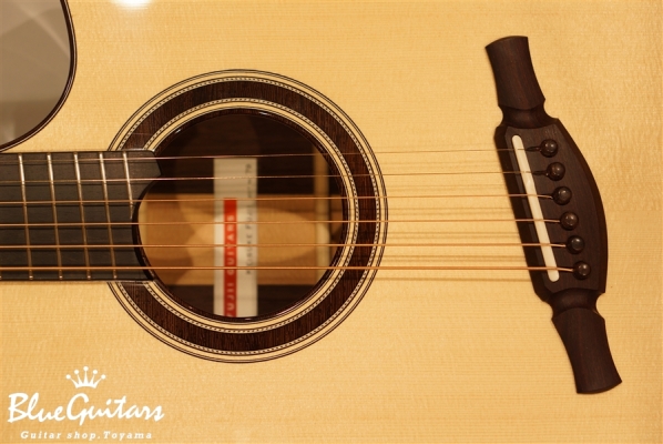 OM-cw Fanned Fret - Wenge / Side Port / OGAWA Inlay Craft