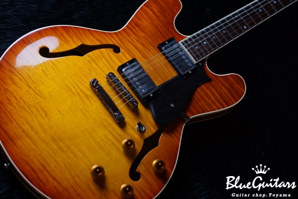 H-535 - ALSB(Almond Sunburst)