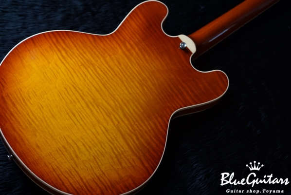 H-535 - ALSB(Almond Sunburst)