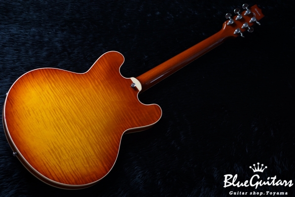 H-535 - ALSB(Almond Sunburst)