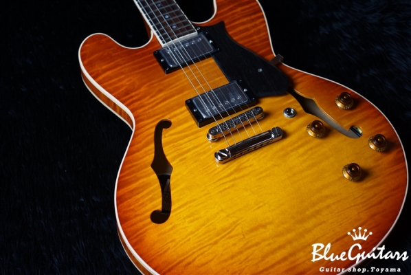 H-535 - ALSB(Almond Sunburst)