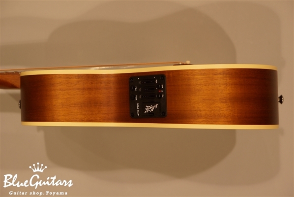 EMTE -Tommy Emmanuel Signature-