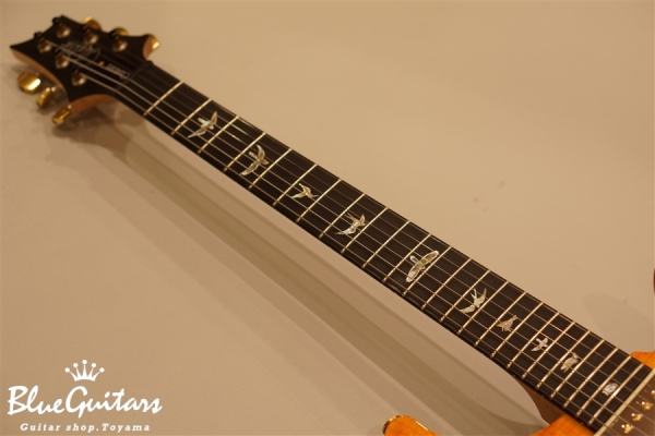 Artist Package Custom24 - Orange Fade