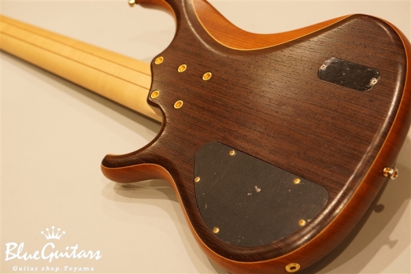 CLIMB5-320OX WG/GO/Fretless