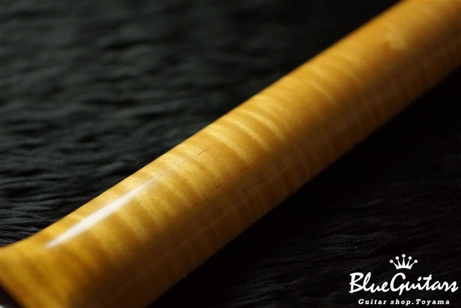 Model S. #021 Light Aged - Burn Burgundy Rose with True Red