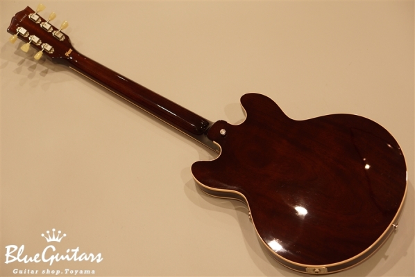 CS-336 Figured Top - Vintage Sunbuest