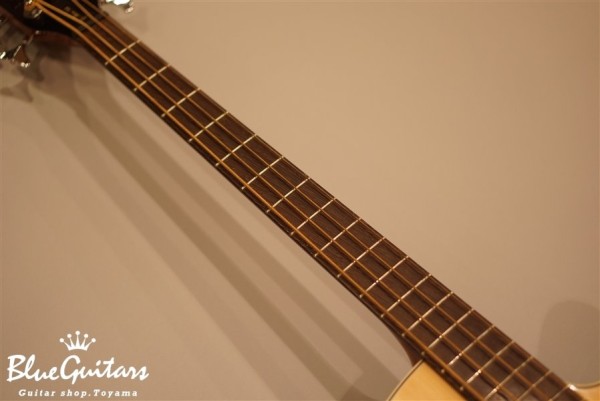 Rock Bass Alien Standard 4st