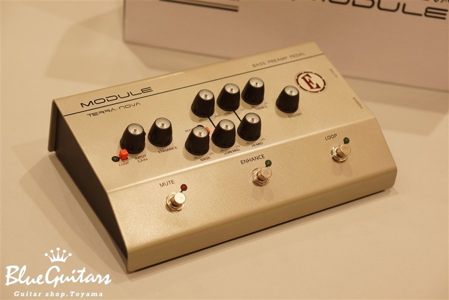 EDEN Module | Blue Guitars Online Store