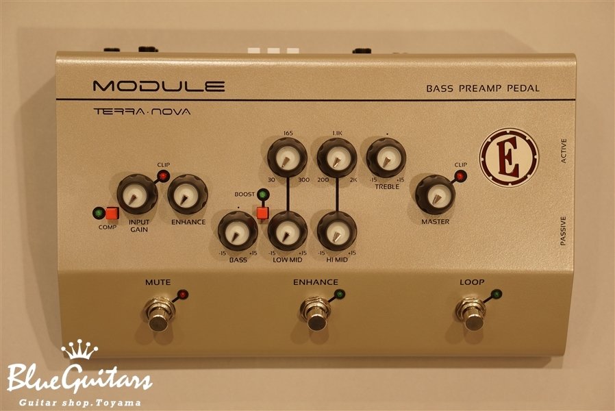 EDEN Module | Blue Guitars Online Store