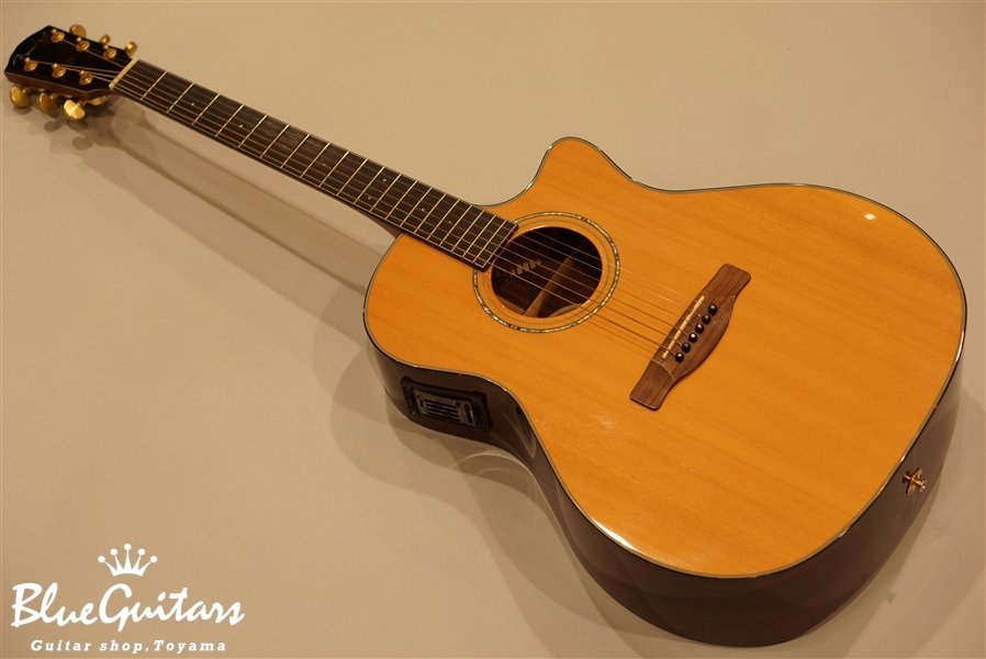 Fender GA-45 SCE | Blue Guitars Online Store