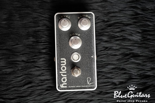 Bogner HARLOW - Black | Blue Guitars Online Store