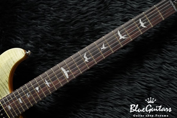 SE Custom 24 - Trampas Green