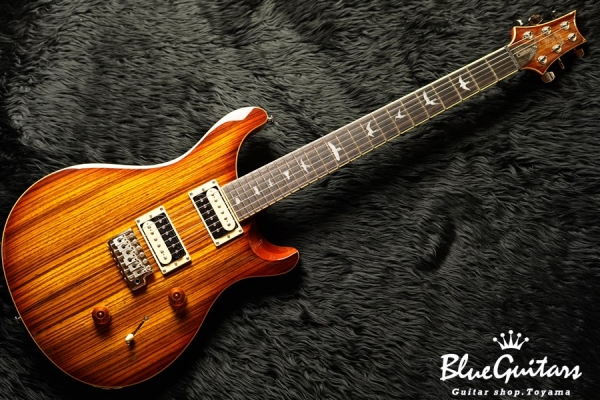 SE Custom 24 Zebrawood