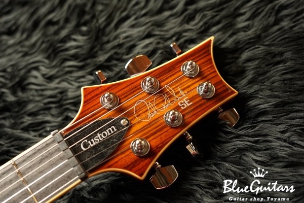 SE Custom 24 Zebrawood