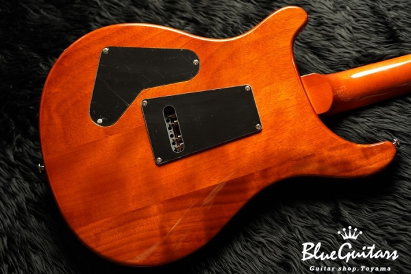 SE Custom 24 Zebrawood