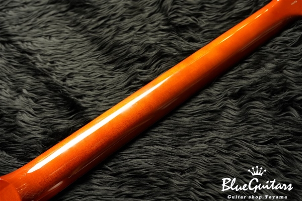 SE Custom 24 Zebrawood