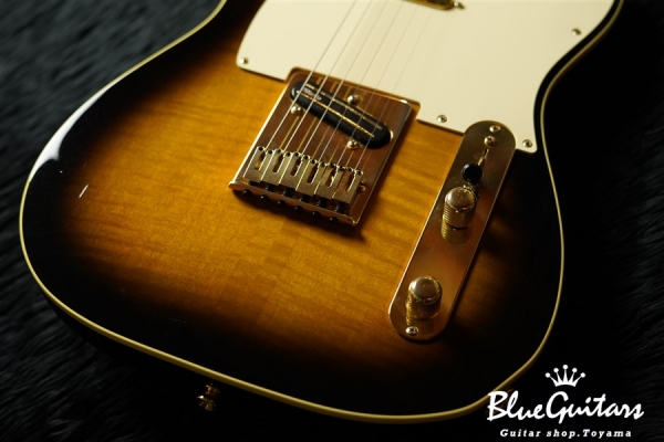 TLR-RK - Ritchie Kotzen Signature Model