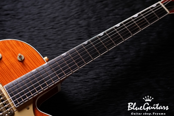 G6120TM Chet Atkins Hollow Body