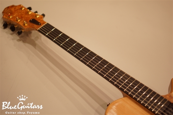 Arcus n's (flatback) - Nature