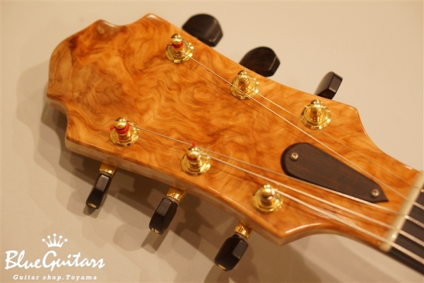 Arcus n's (flatback) - Nature