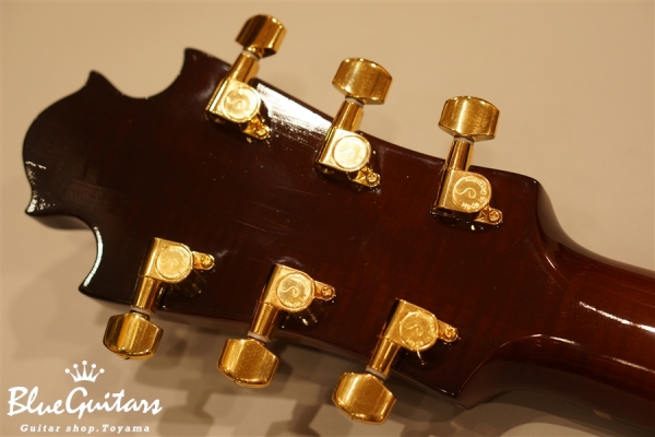 Arcus n's - Fin Hole