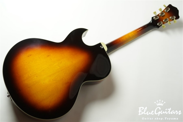 AR-175CE - Sunburst