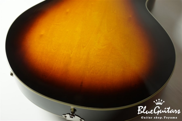 AR-175CE - Sunburst